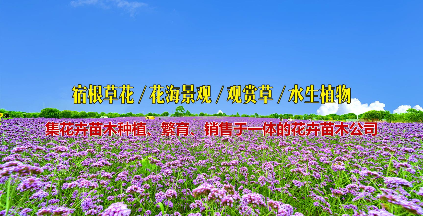 花海